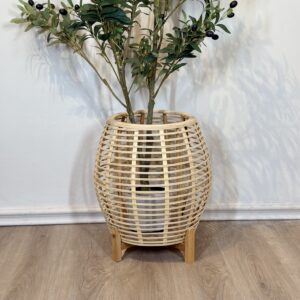 Macetera orgánica de bambú.