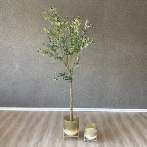 Olivo Artificial Natural