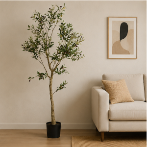 Planta Olivo con pote Olive Essence