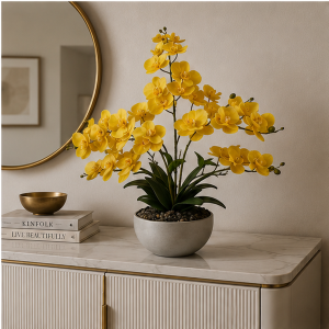 Orquídea Golden Bloom