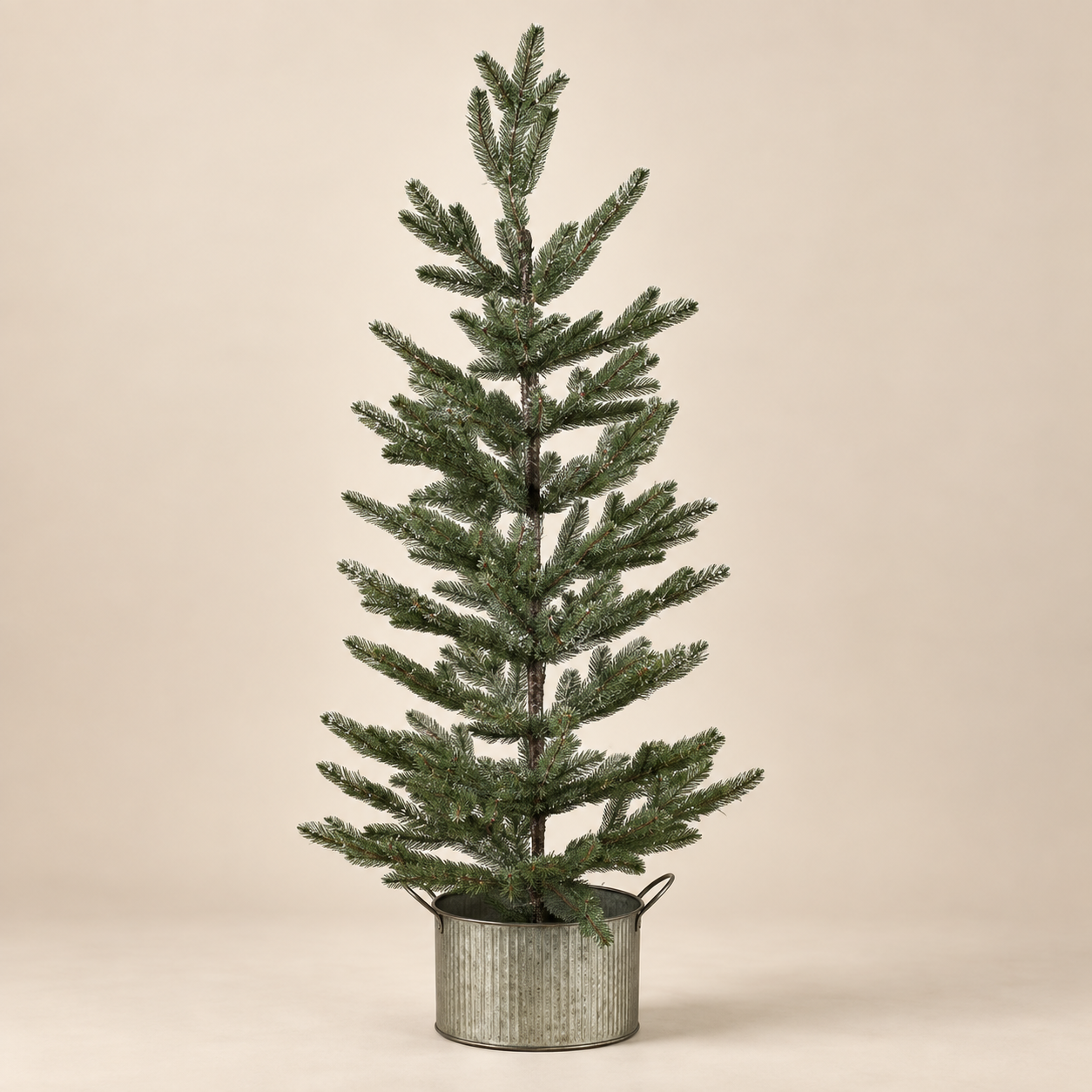 Pino en maceta Potted Pine sobre fondo beige