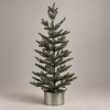 Potted Pine en ángulo lateral sobre fondo gris