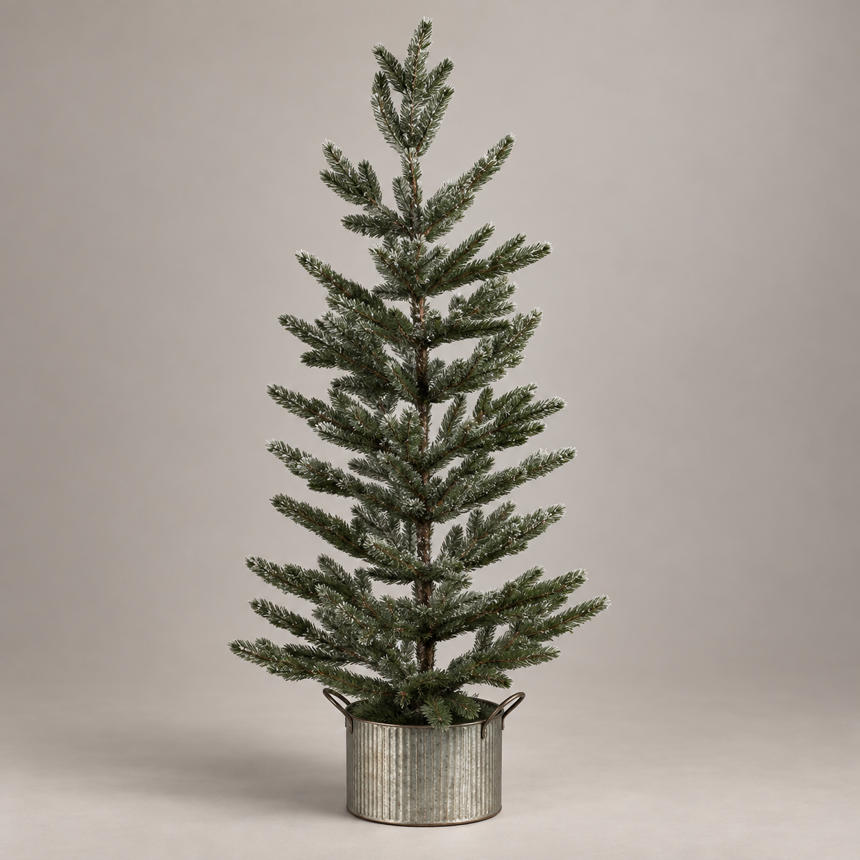 Potted Pine en ángulo lateral sobre fondo gris