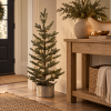 Pino Potted Pine ambientado en entrada navideña