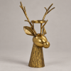 Cerf Lumière en ángulo lateral sobre fondo gris