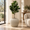 Vase Ventru con planta en terraza interior