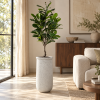 Vase Cendre con planta en sala