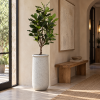 Vase Cendre con planta en recibidor