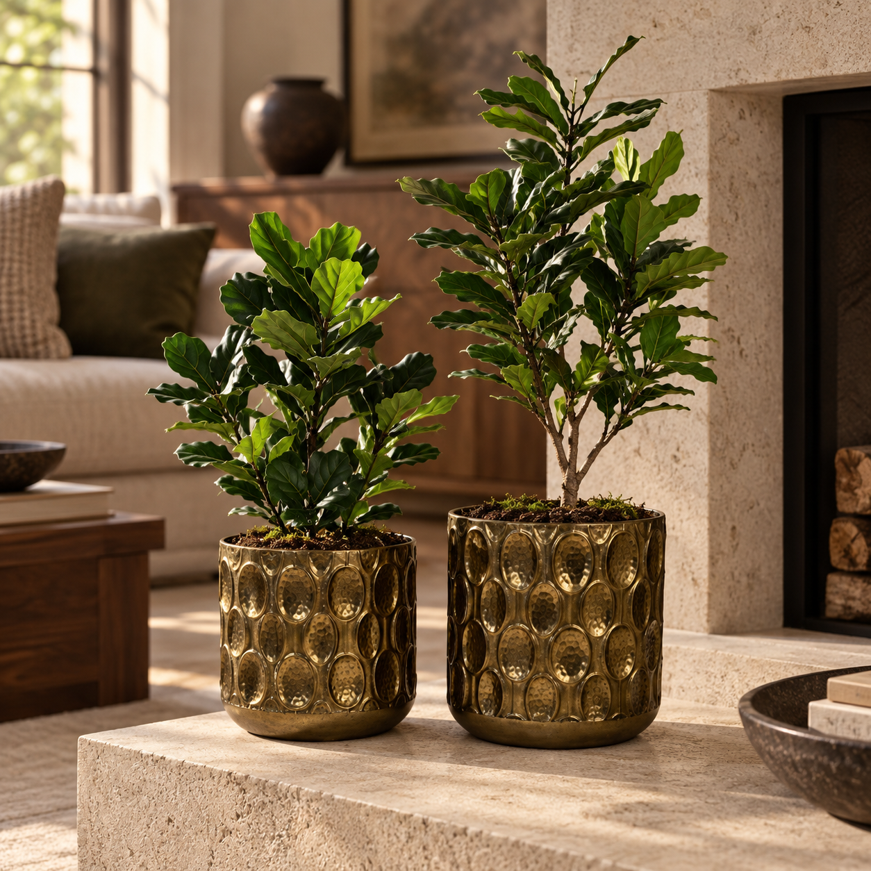 Duo Tressé con plantas de la colección