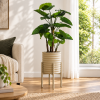 Planta alocasia — Feuillage Émeraude en ambientación hiperrealista