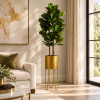 Ficus lirata — Ficus Élancé en ambientación hiperrealista