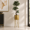 Planta pompón — Arbuste Sculpté en segunda ambientación