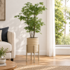 Planta pompón — Feuillage Léger en ambientación hiperrealista