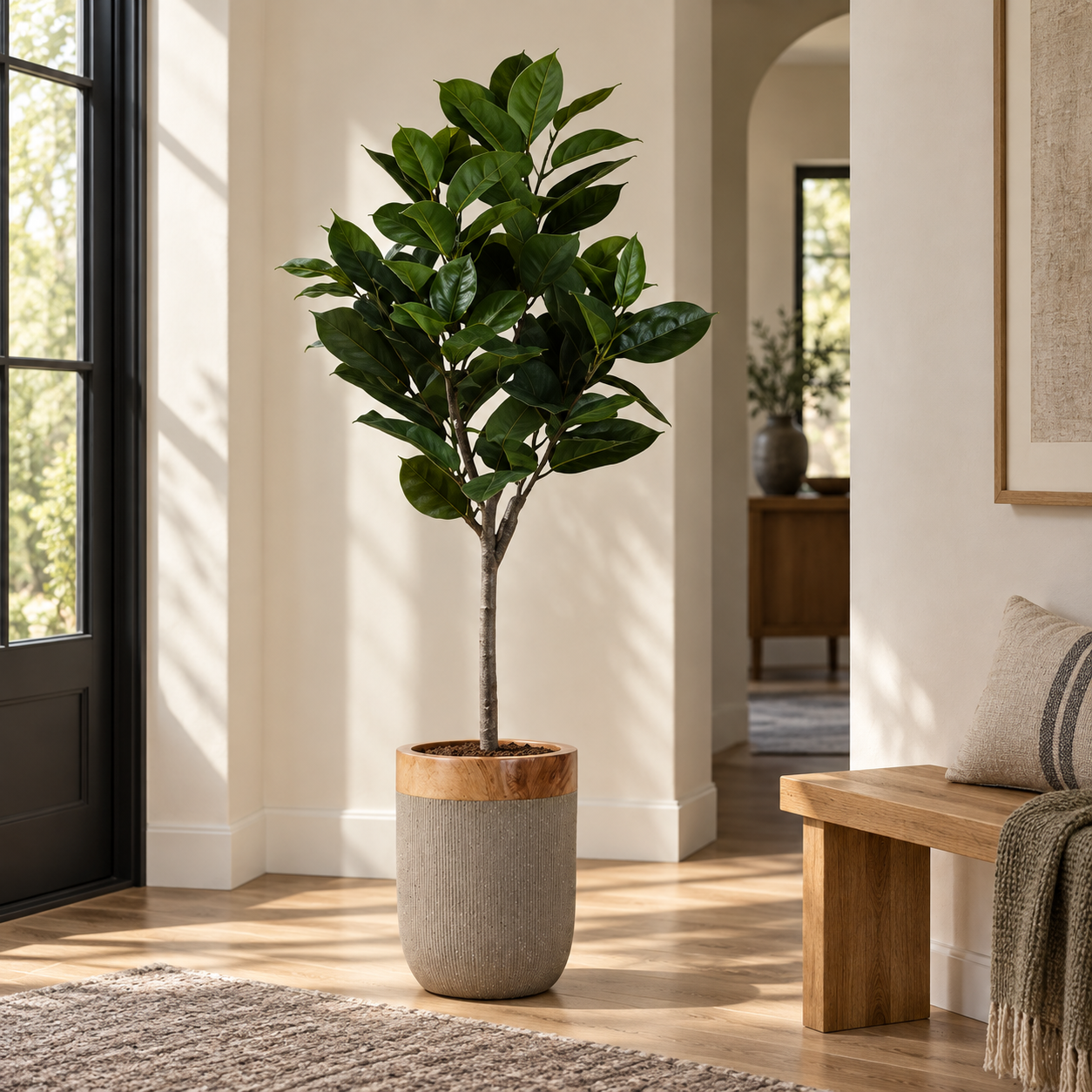 Roble — Frondaison Automnale en recibidor
