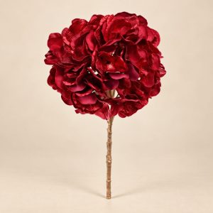 Hortensia Ruby Bloom sobre fondo beige
