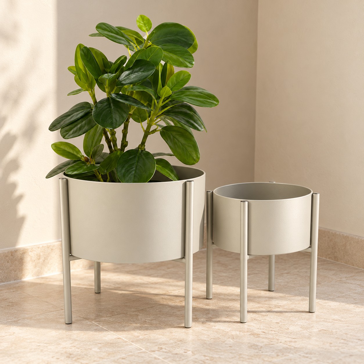 Juego de 2 maceteros con patas — Duo Pilotis, vista ambientada desde un ángulo lateral izquierdo, con la planta Succulente Jade de HOCART