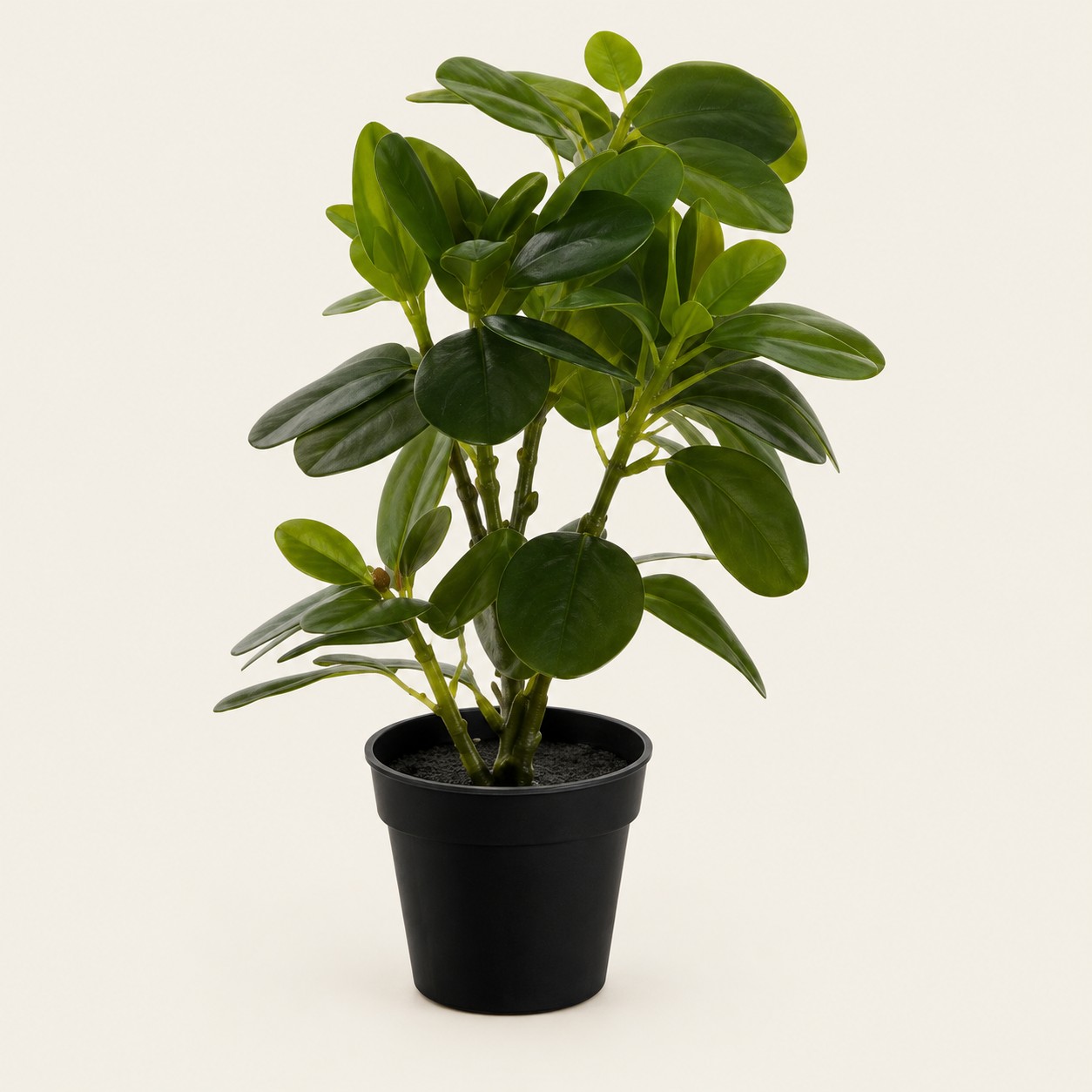 Planta suculenta artificial Succulente Jade de hojas verdes ovaladas en maceta negra