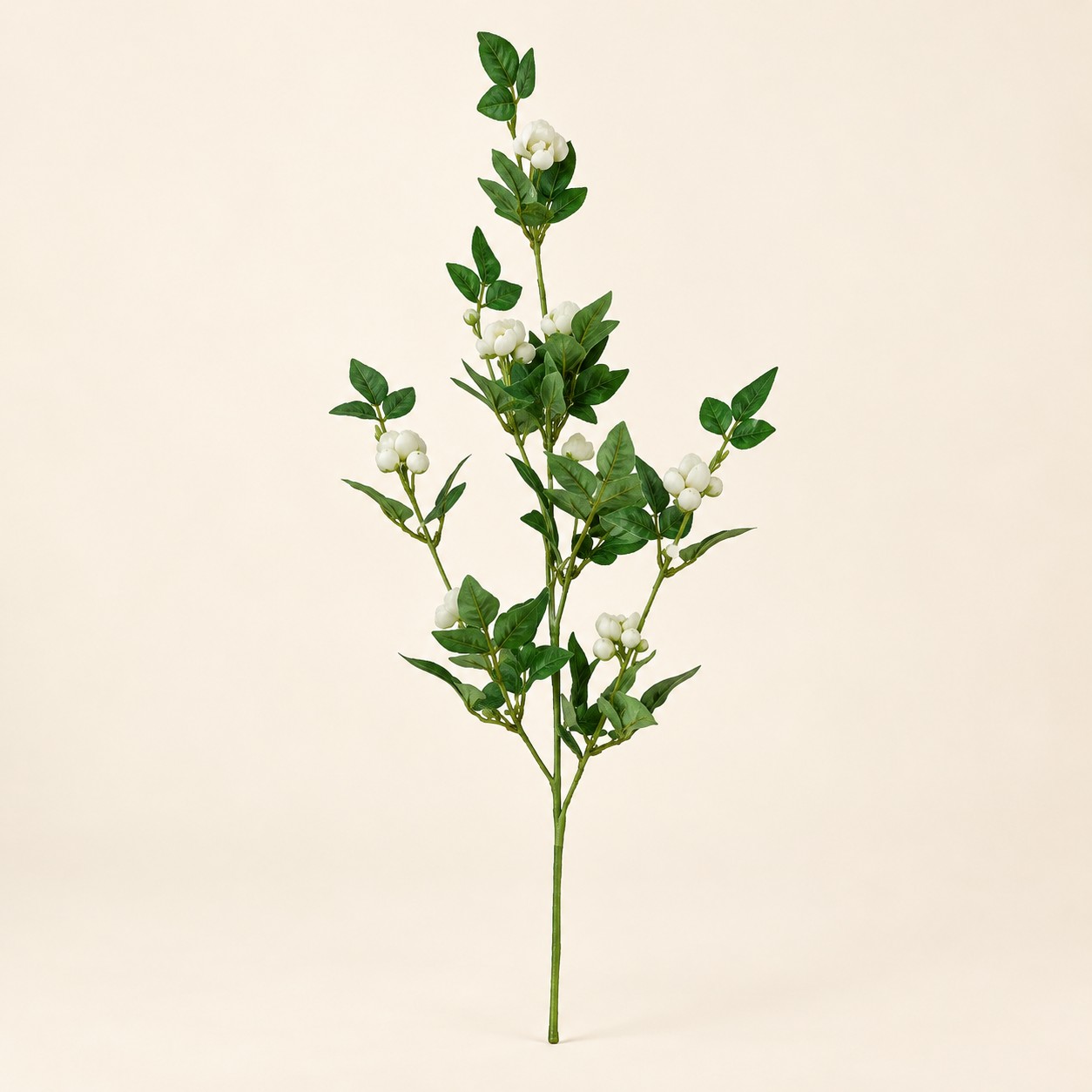 Rama artificial Branche Laurier con hojas verdes y pequeños botones blancos sobre fondo beige