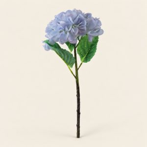 Hortensia — Ortensia Lavanda, vista principal sobre fondo beige